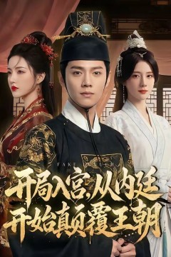 开局入宫，从内廷开始颠覆王朝