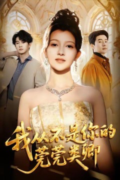 我从不是你的莞莞类卿