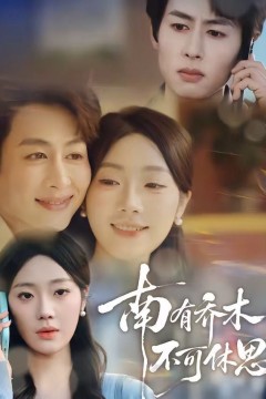 南有乔木，不可休思