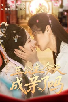 三公主今天成亲了吗