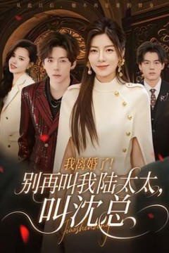 我离婚了！别再叫我陆太太，叫沈总