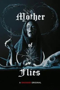 苍蝇之母