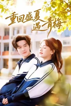 重回盛夏遇青梅