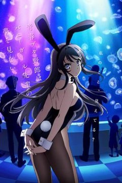 青春猪头少年不会梦到兔女郎学姐