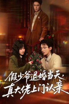 假少爷退婚当天，真大佬上门认亲