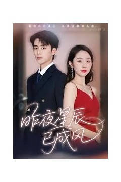 昨夜星辰已成风