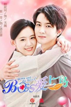 Boss爱上鸟