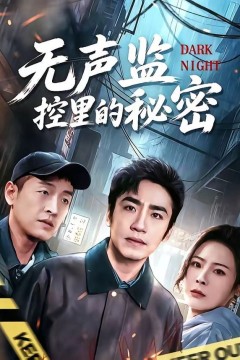 无声监控里的秘密