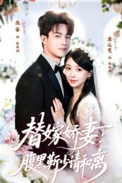 替嫁娇妻：腹黑靳少请和离