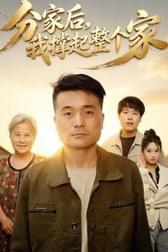 分家后我撑起整个家