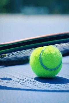 WTA500华盛顿站女单第一轮：卡萨金娜VS卡林斯卡娅