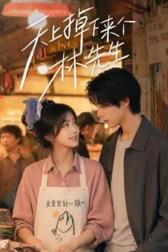 天上掉下来个林先生