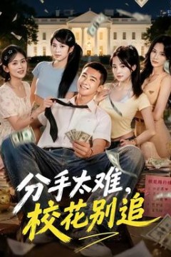 分手太难，校花别追