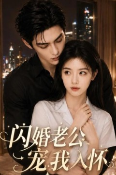 闪婚老公宠我入怀