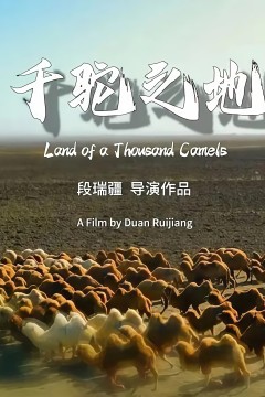 千驼之地