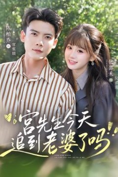 宫先生今天追到老婆了吗