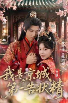 我是京城第一告状精